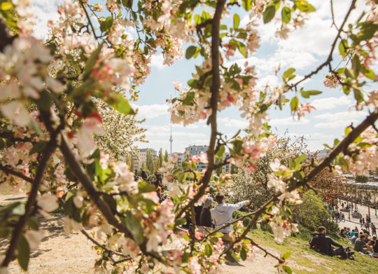 Berlin Frühling